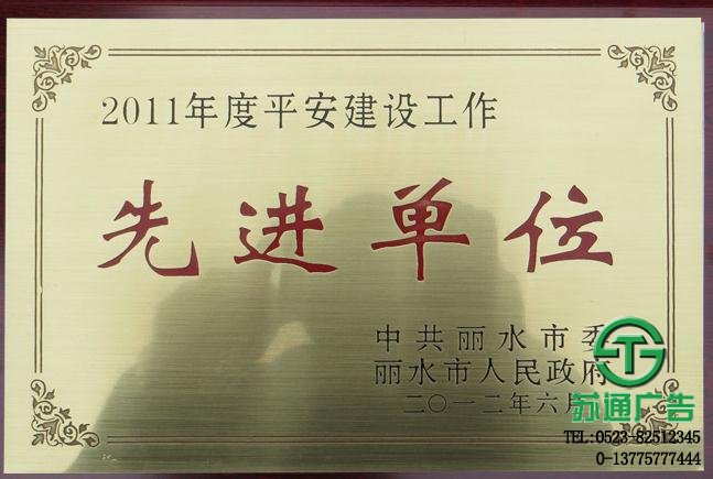 銅質(zhì)獎(jiǎng)牌