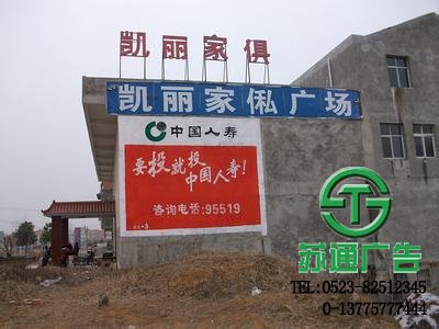 墻體廣告推廣面積廣泛造價也低廉