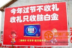 新穎的構思促進了墻體廣告的優良發展