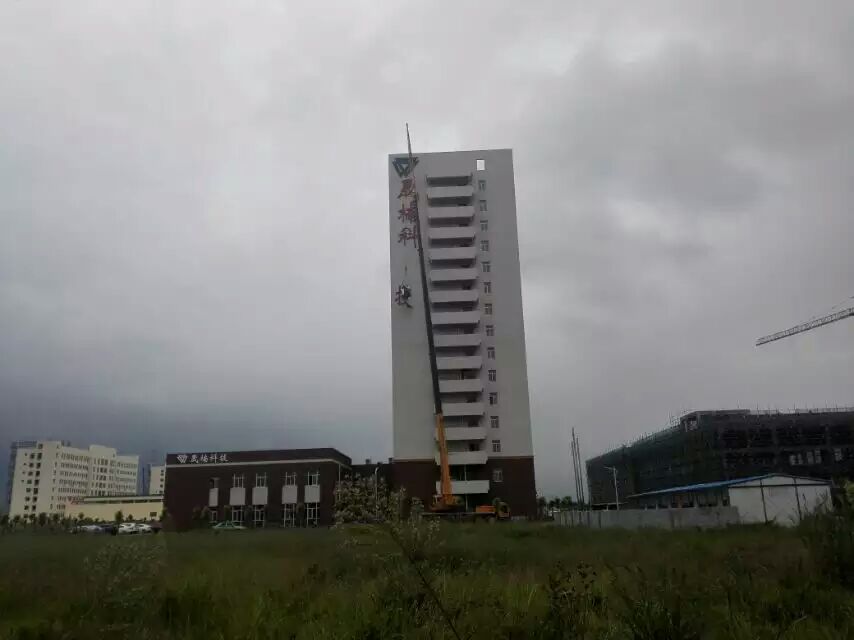 江蘇晟楠電子墻體樓頂發(fā)光字制作安裝